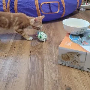 베스트 후기 이미지