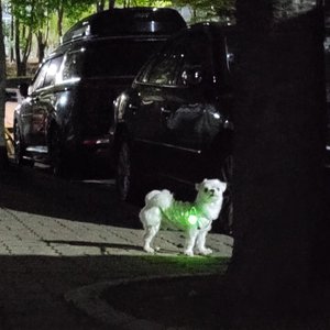 베스트 후기 이미지
