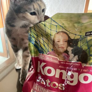 베스트 후기 이미지