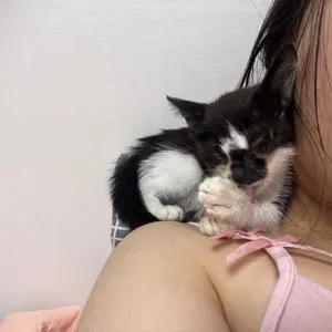 베스트 후기 이미지