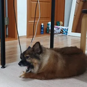 베스트 후기 이미지