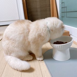 베스트 후기 이미지