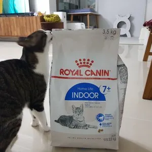 베스트 후기 이미지