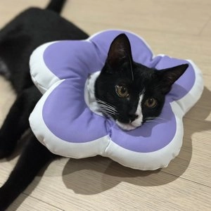 [웰컴딜] 펫홀릭 플라워 넥카라 옐로/블루/피치 S-L 베스트 후기 이미지