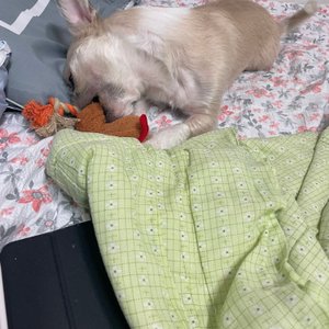 베스트 후기 이미지