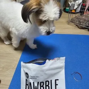 베스트 후기 이미지