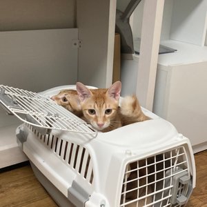 베스트 후기 이미지