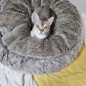 [무료배송] 펫토리아 에스키모 방석 그레이 베스트 후기 이미지