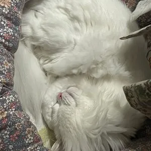 베스트 후기 이미지