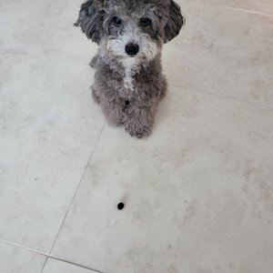 베스트 후기 이미지