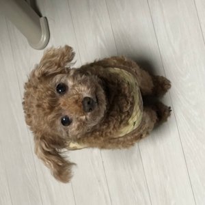 베스트 후기 이미지