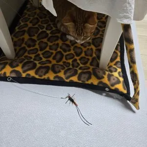 베스트 후기 이미지