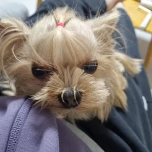 베스트 후기 이미지