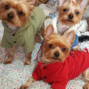 베스트 후기 이미지