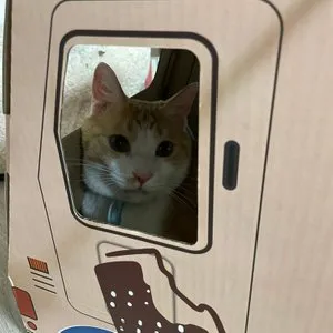 베스트 후기 이미지