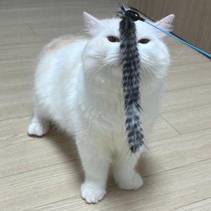 베스트 후기 이미지