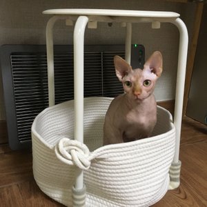 베스트 후기 이미지