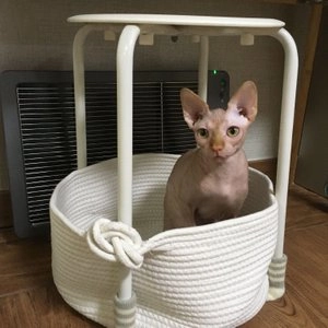 펫트리움 캣 바구니 하우스 베스트 후기 이미지