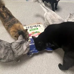 베스트 후기 이미지