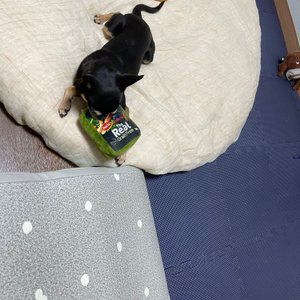 베스트 후기 이미지