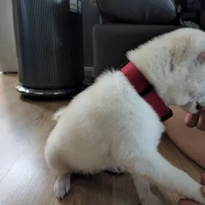 베스트 후기 이미지