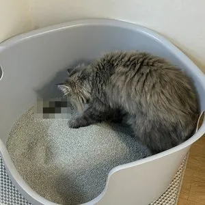 베스트 후기 이미지