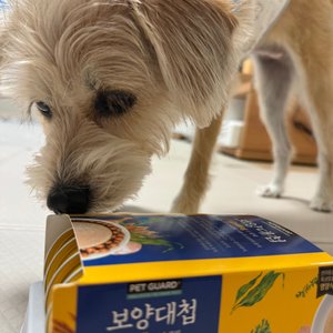 베스트 후기 이미지