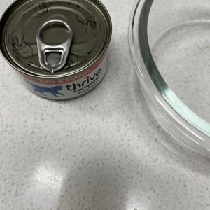 베스트 후기 이미지