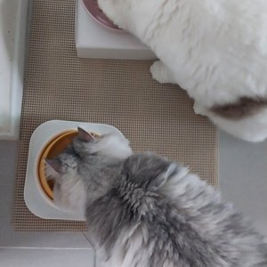 베스트 후기 이미지