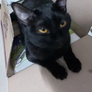 베스트 후기 이미지