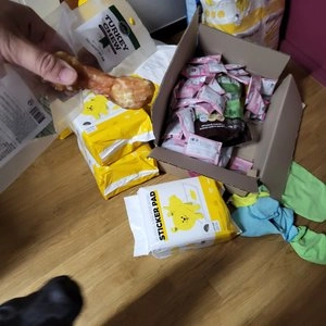 [창고대방출] 보나시보 독 치킨 엔초비&라이스 퍼피 라지브리드 3kg 베스트 후기 이미지