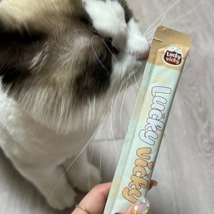 베스트 후기 이미지