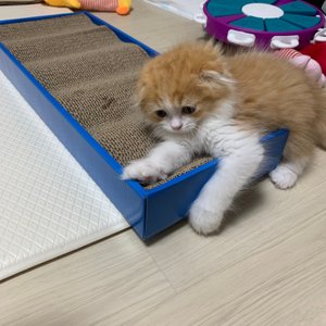 베스트 후기 이미지
