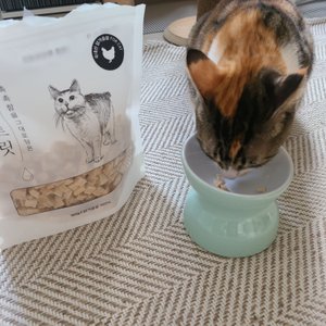 베스트 후기 이미지