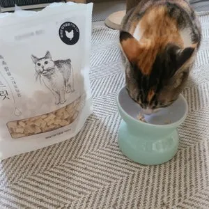 베스트 후기 이미지