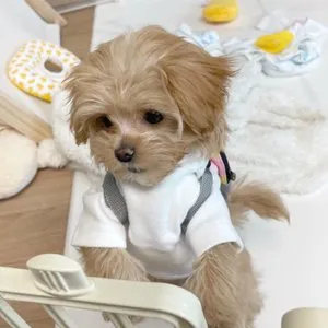 베스트 후기 이미지