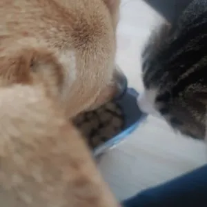 베스트 후기 이미지