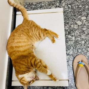 베스트 후기 이미지