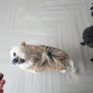 베스트 후기 이미지