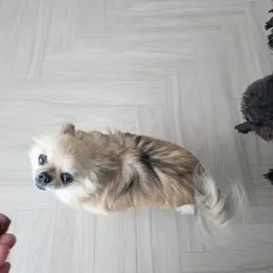 베스트 후기 이미지