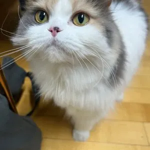 베스트 후기 이미지