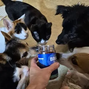 베스트 후기 이미지