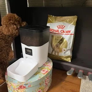 베스트 후기 이미지