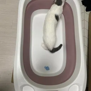 베스트 후기 이미지