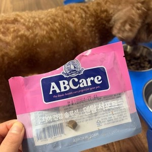 ABCare 독 치아건강 덴탈서포트 소고기 1kg 베스트 후기 이미지