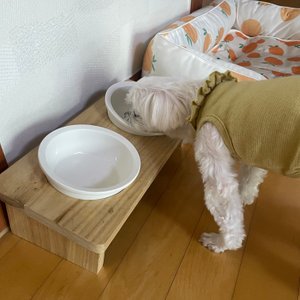 베스트 후기 이미지