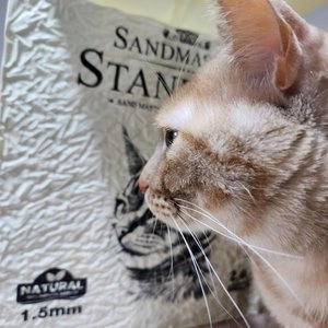 [무료배송] [6개] 샌드마스터 스탠다드 오리지널 두부모래 2.4kg 베스트 후기 이미지