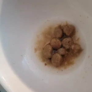 베스트 후기 이미지