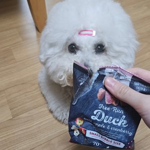 베스트 후기 이미지