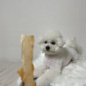 베스트 후기 이미지